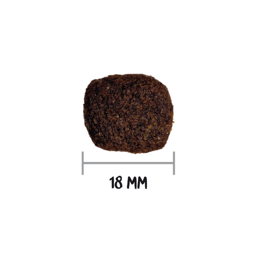 Visuel 4 du produit Croquette pour chien adulte à l'agneau sans céréales Ownat Hypoallergenic - 12 kg