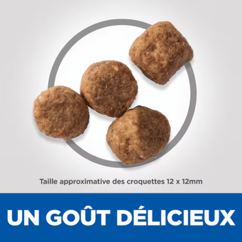 Visuel 4 du produit Croquettes pour chien mature medium poulet Hill's Science Plan - 18 kg