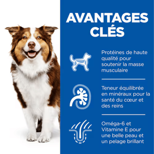 Visuel 5 du produit Croquettes pour chien mature medium poulet Hill's Science Plan - 18 kg