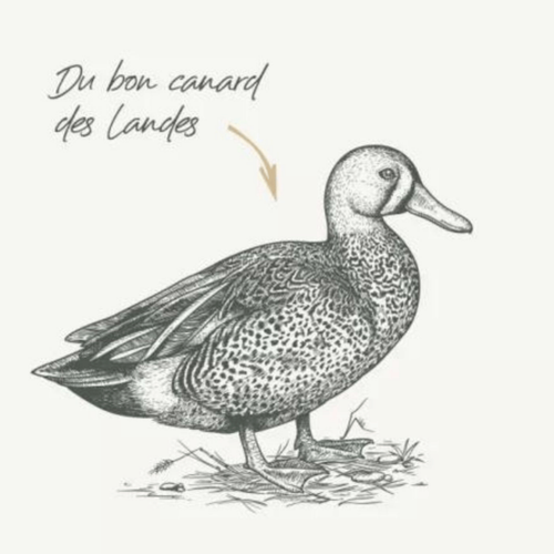 Visuel 3 du produit Croquettes pour chien adulte au canard sans céréales Bab'in Signature - 3 kg