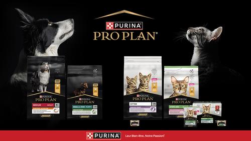 Croquettes de la marque Pro Plan avec chien et chat sur fond noir