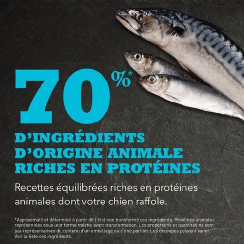 Visuel 4 du produit Croquette pour chien adulte au poisson Pacifica - 11,4 kg