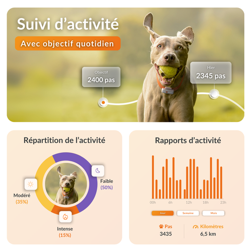 Visuel 5 du produit Traceur GPS pour chien coloris blanc Weenect