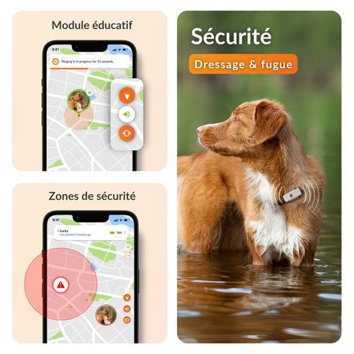 Visuel 6 du produit Traceur GPS pour chien coloris blanc Weenect