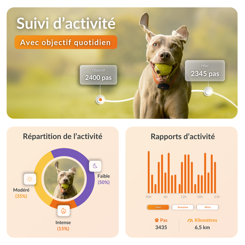 Visuel 5 du produit Traceur GPS pour chien coloris noir Weenect - fonctionne avec abonnement