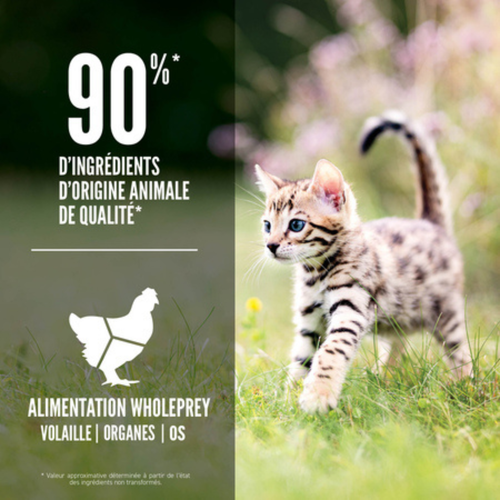 Visuel 3 du produit Croquettes Orijen Chaton - 1,8 kg