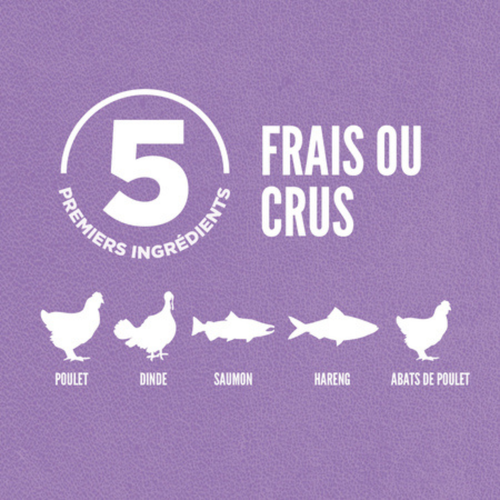 Visuel 5 du produit Croquettes Orijen Chaton - 1,8 kg