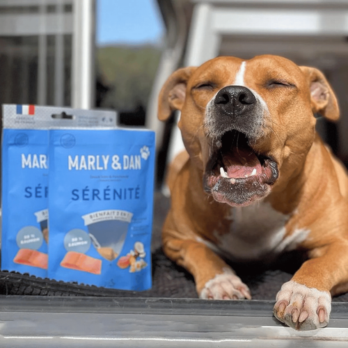 Visuel 4 du produit Friandises pour chien tendres bouchées sérénité Marly & Dan - 50 g