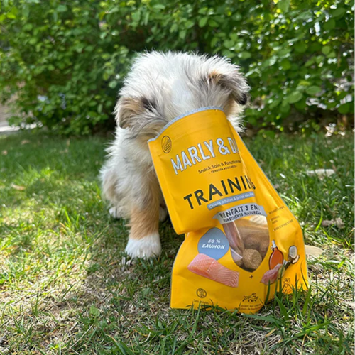 Visuel 4 du produit Friandises pour chien tendres bouchées éducation Marly & Dan - 100 g