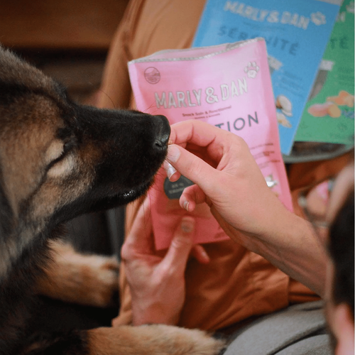 Visuel 4 du produit Friandises pour chien barres à mâcher digestion Marly & Dan - 80 g