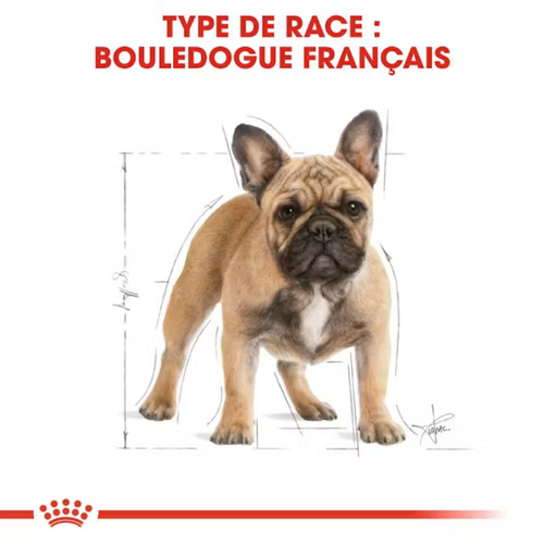 Visuel 5 du produit Croquette pour chien adulte Bouledogue Français Royal Canin - 3 kg