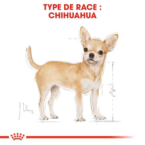 Visuel 5 du produit Croquette pour chien adulte Chihuahua Royal Canin - 1,5 kg