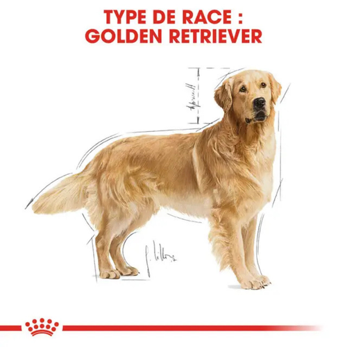 Visuel 5 du produit Croquette pour chien adulte Golden Retriever Royal Canin - 12 kg