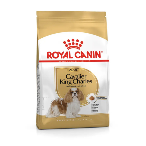 Visuel 1 du produit Croquette pour chien adulte King Charles Royal Canin - 3 kg