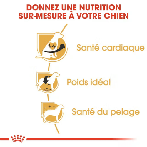 Visuel 4 du produit Croquette pour chien adulte King Charles Royal Canin - 3 kg