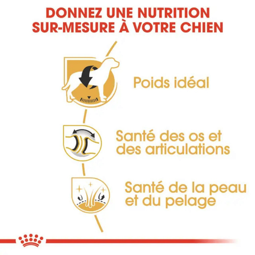 Visuel 4 du produit Croquette pour chien adulte Labrador Retriever Royal Canin - 12 kg