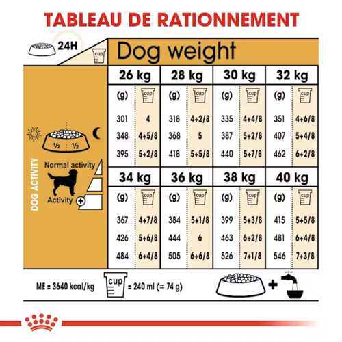 Visuel 6 du produit Croquette pour chien adulte Labrador Retriever Royal Canin - 12 kg