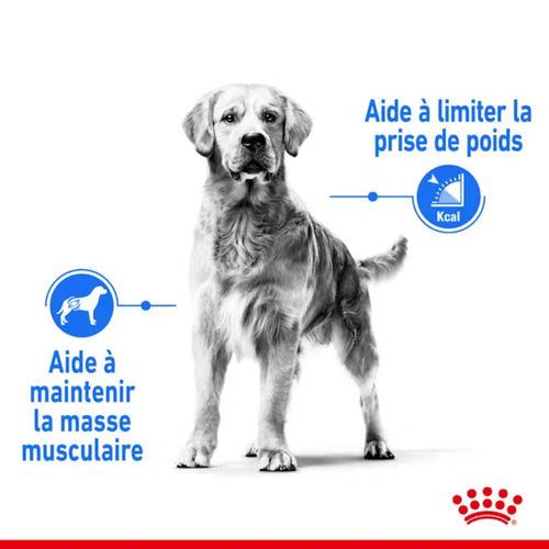 Visuel 3 du produit Croquette pour chien adulte de grande taille en surpoids Royal Canin - 12 kg
