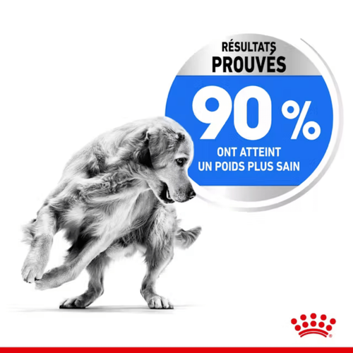 Visuel 4 du produit Croquette pour chien adulte de grande taille en surpoids Royal Canin - 12 kg