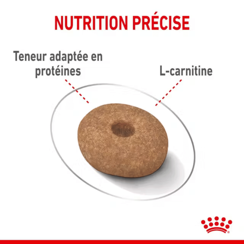 Visuel 6 du produit Croquette pour chien adulte de petite taille light weight care Royal Canin - 3 kg