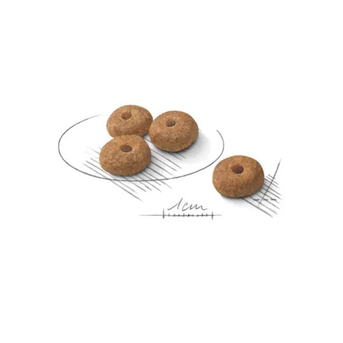Visuel 3 du produit Croquette pour chien adulte stérilisé de petite taille Royal Canin - 3 kg
