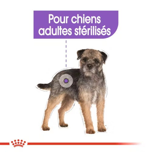 Visuel 4 du produit Croquette pour chien adulte stérilisé de petite taille Royal Canin - 3 kg