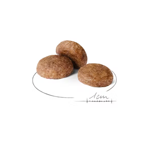Visuel 2 du produit Croquette pour chien mature Royal Canin - 4 kg