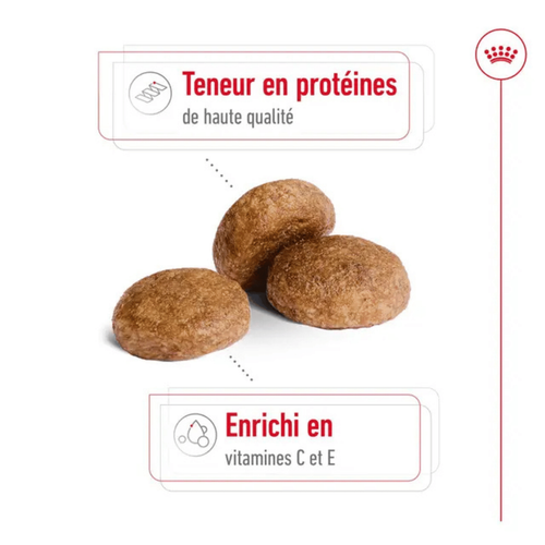 Visuel 4 du produit Croquette pour chien mature Royal Canin - 4 kg