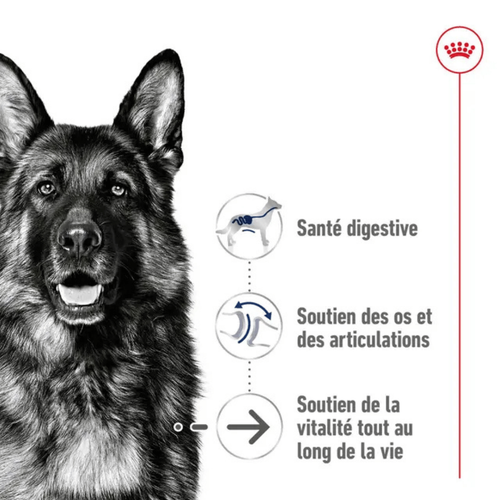 Visuel 3 du produit Croquette pour chien mature de grande taille Royal Canin - 15 kg