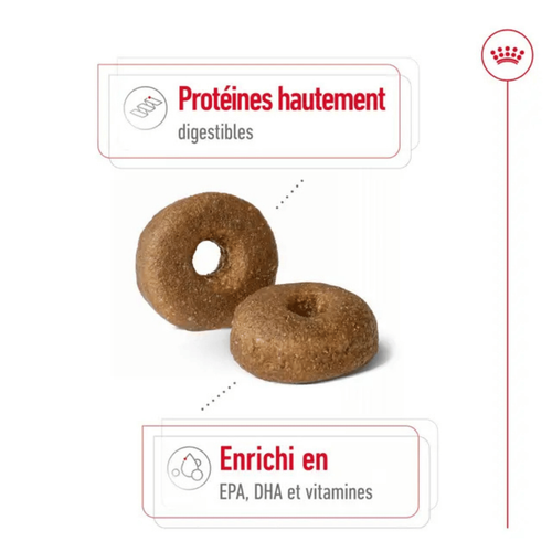 Visuel 4 du produit Croquette pour chien mature de grande taille Royal Canin - 15 kg