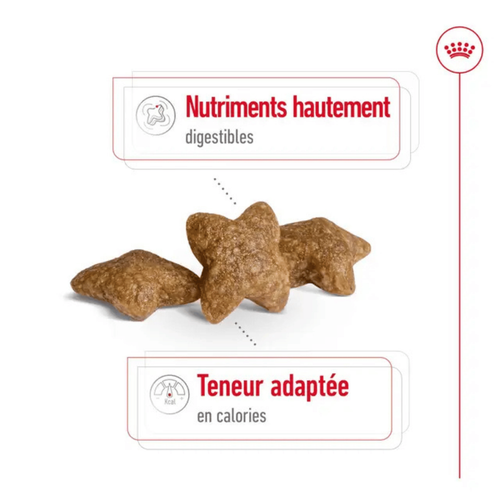 Visuel 4 du produit Croquette pour chien adulte de petite taille Royal Canin - 2 kg