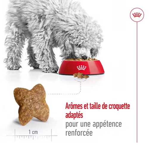 Visuel 5 du produit Croquette pour chien adulte de petite taille Royal Canin - 2 kg