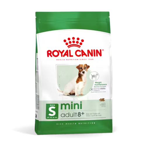 Visuel 1 du produit Croquette pour chien mature de petite taille Royal Canin - 2 kg