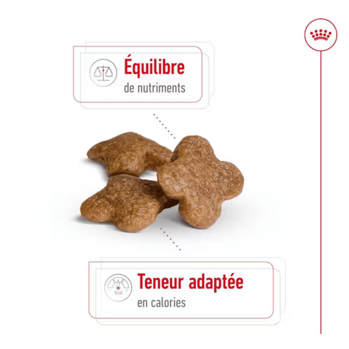 Visuel 4 du produit Croquette pour chien mature de petite taille Royal Canin - 2 kg