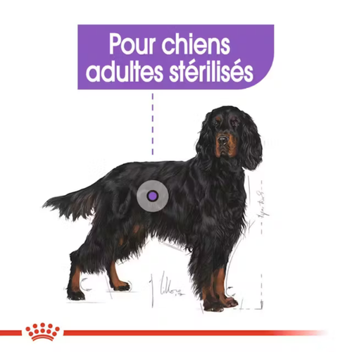 Visuel 3 du produit Croquette pour chien stérilisé de grande taille Royal Canin - 12 kg