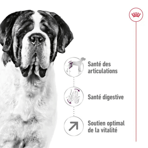 Visuel 4 du produit Croquettes pour chien Royal Canin Giant adulte de + de 45 kg - Le sac de 15 kg
