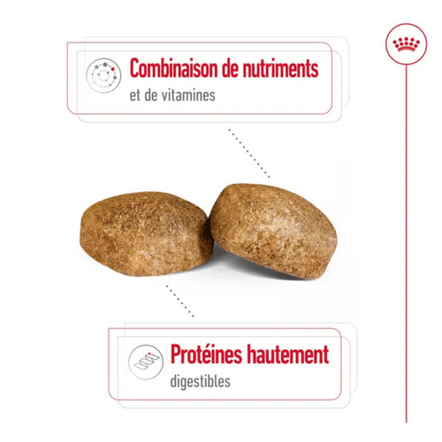 Visuel 5 du produit Croquettes pour chien Royal Canin Giant adulte de + de 45 kg - Le sac de 15 kg