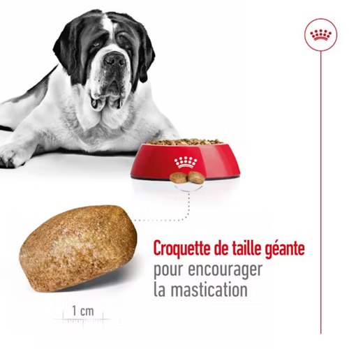 Visuel 6 du produit Croquettes pour chien Royal Canin Giant adulte de + de 45 kg - Le sac de 15 kg