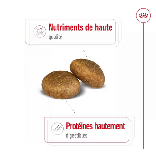 Visuel 4 du produit Croquettes pour chien Royal Canin Maxi adulte de + de 15 mois - Le sac de 15 kg