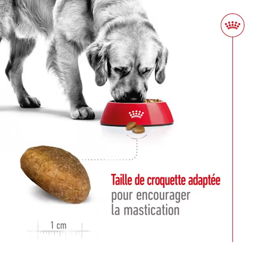 Visuel 5 du produit Croquettes pour chien Royal Canin Maxi adulte de + de 15 mois - Le sac de 15 kg