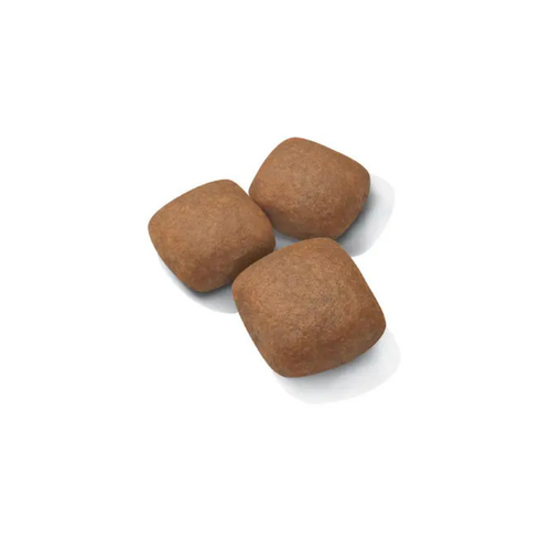 Visuel 2 du produit Croquettes pour chiot Royal Canin Junior active Giant - 15 kg