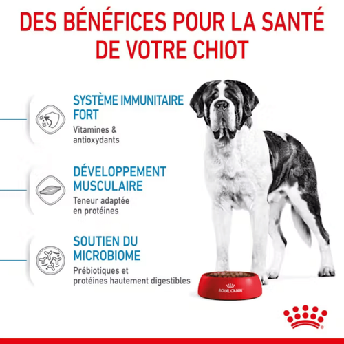 Visuel 4 du produit Croquettes pour chiot Royal Canin Junior active Giant - 15 kg