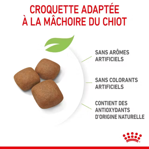 Visuel 5 du produit Croquettes pour chiot Royal Canin Junior active Giant - 15 kg