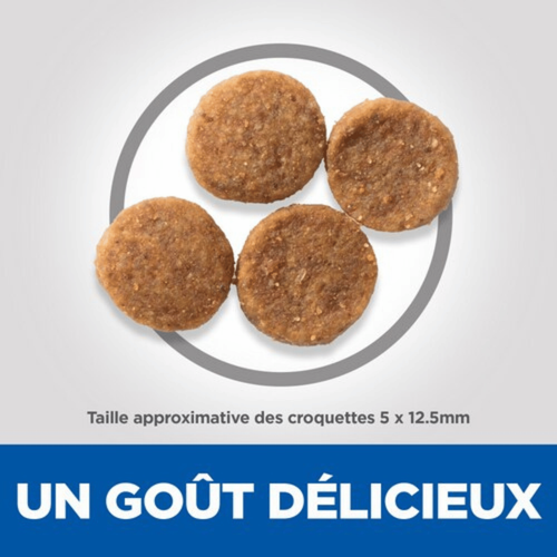 Visuel 4 du produit Croquette pour chien adulte au poulet Hill's - 2,5 kg