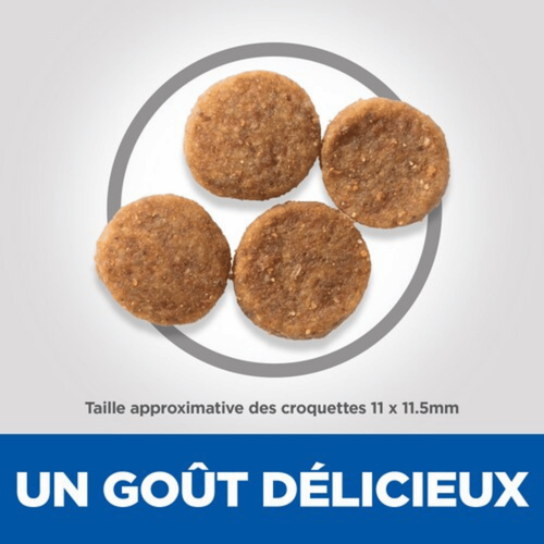 Visuel 4 du produit Croquette pour chien adulte à l’agneau et au riz Hill's - 12 kg