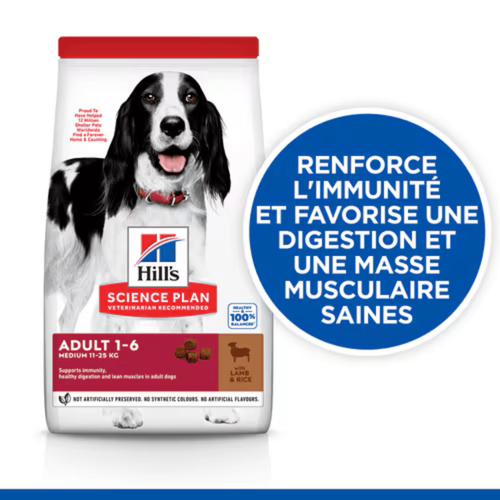 Visuel 5 du produit Croquette pour chien adulte à l’agneau et au riz Hill's - 12 kg