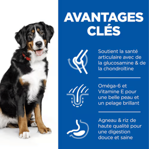 Visuel 5 du produit Croquette pour chien adulte grande race aux légumes et au riz Hill's - 12 kg