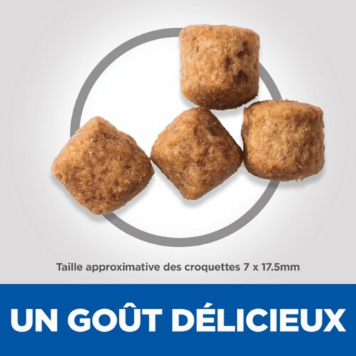 Visuel 4 du produit Croquette pour chien mature grande race au poulet Hill's - 12 kg