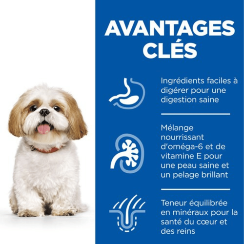Visuel 5 du produit Croquette pour chien mature de petite taille au poulet Hill's - 6 kg