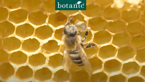 Miniature vidéo OFA